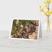 Spaanse uien in het veld, voedselfotografie kaart (Gele Bloem)