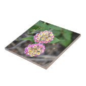 Spaanse vlag Lantana Camara Tegeltje (Zijkant)