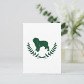 Spaanse waterhond briefkaart (Staand voorkant)