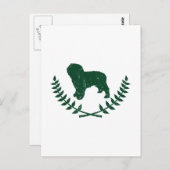 Spaanse waterhond briefkaart (Voorkant / Achterkant)