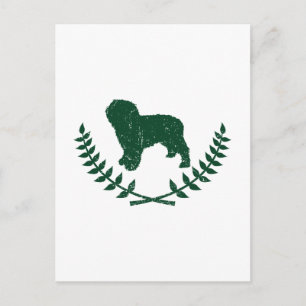 Spaanse waterhond briefkaart