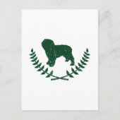 Spaanse waterhond briefkaart (Voorkant)