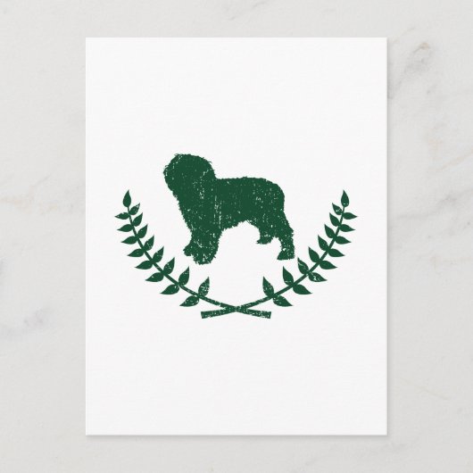 Spaanse waterhond briefkaart (Voorkant)