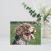 spaanse waterhond briefkaart (Staand voorkant)
