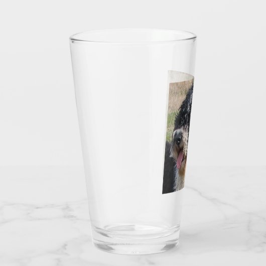 Spaanse waterhond glas (Rechts)