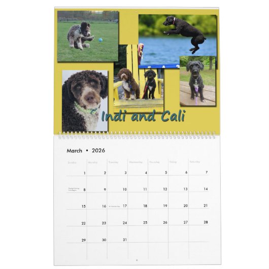 Spaanse waterhonden 2020 kalender (Mar 2026)