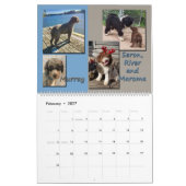 Spaanse waterhonden 2020 kalender (Feb 2027)