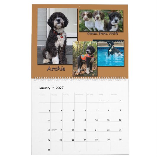 Spaanse waterhonden 2020 kalender (Jan 2027)