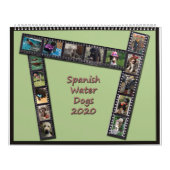 Spaanse waterhonden 2020 kalender (Hoes)