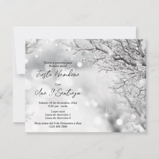 Spaanse Winter Sparkles Kerstfeest Kaart (Voorkant)
