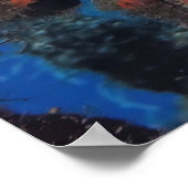 Spaanvis Poster (Hoek)