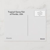 Spaanvis van het tropische Briefkaart (Achterkant)