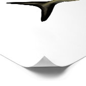 Spaanvis van het tropische poster (Hoek)