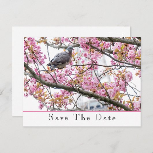 Spaar de datum aankondiging ansichtkaart (Voorkant / Achterkant)