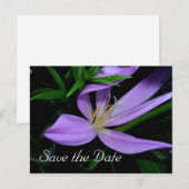 Spaar de datum aankondiging ansichtkaart (Voorkant / Achterkant)