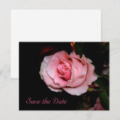 Spaar de datum aankondiging ansichtkaart (Voorkant / Achterkant)