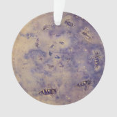 Space Bees Ornament (voorkant)