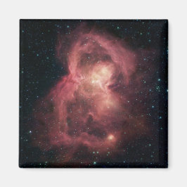 Space Butterfly Nebula Magneet