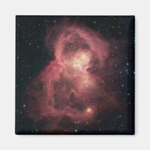 Space Butterfly Nebula Magneet