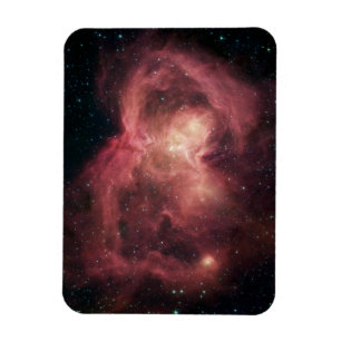 Space Butterfly Nebula Magneet