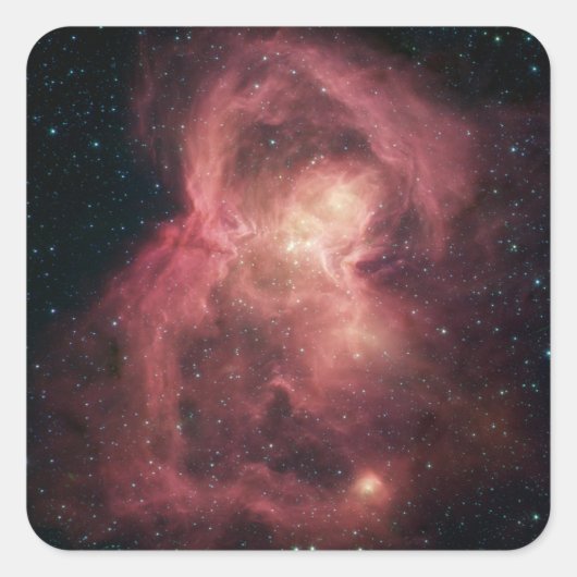Space Butterfly Nebula Vierkante Sticker (Voorkant)
