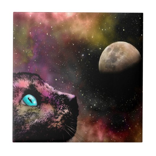 Space Cat 619 Maan Sterren Universum Tegeltje (Voorkant)