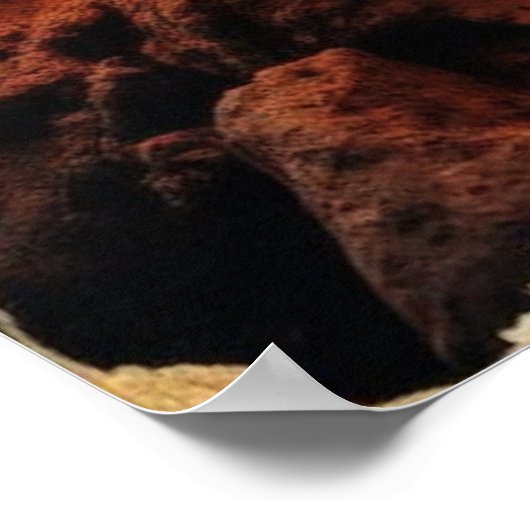 Space Cat Funk tijdens een maanverlichte paddensto Poster (Hoek)