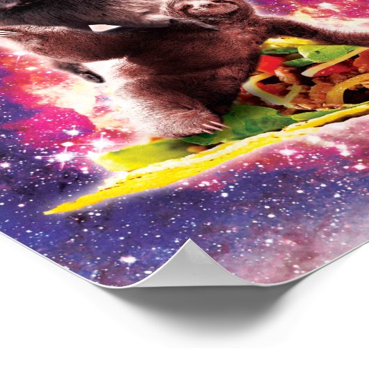 Space Cat Llama Sloth Riding Poster (Hoek)