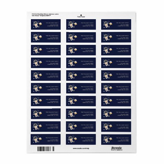 Space Galaxy Birthday Return Address Label (Full Sheet)