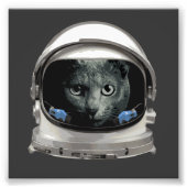 Space Helmet Astronaut Cat Foto Afdruk (Voorkant)