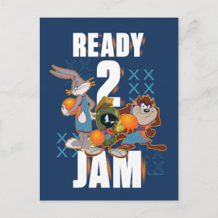 SPACE JAM: EEN NIEUWE LEGACY™   Klaar 2 jam Briefkaart