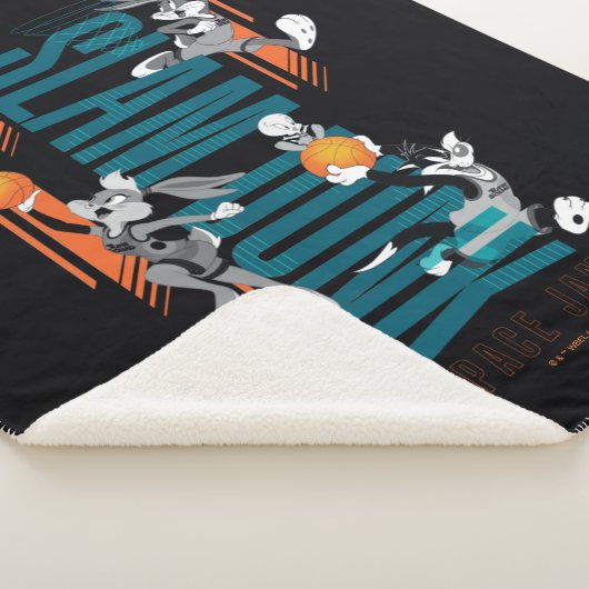 SPACE JAM: EEN NIEUWE LEGACY™ | Slam Dunk Sherpa Deken (3/4)