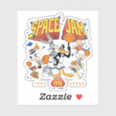SPACE JAM™ TUNE SQUAD™ 1996 Grafisch Sticker (Vel)
