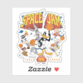 SPACE JAM™ TUNE SQUAD™ 1996 Graphic Sticker (Vel)