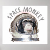 Space Monkey Poster (Voorkant)