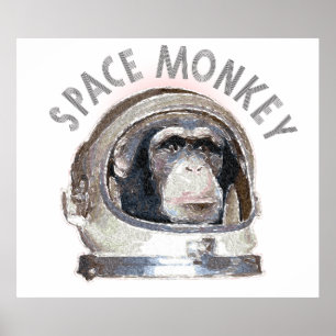 Space Monkey Poster