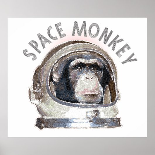 Space Monkey Poster (Voorkant)