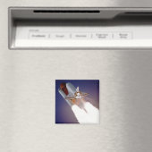 Space Shuttle Atlantis Magneet (Insitu (Vaatwasser))