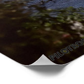 Space Shuttle Atlantis Poster (Hoek)