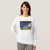 Space Shuttle Atlantis tilt af 20 T-shirt (Voorkant volledig)