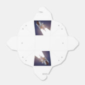 Space Shuttle Bedankdoosjes (Uitgevouwen)