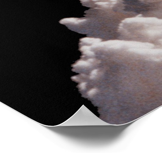 Space Shuttle Challenger Disaster Poster (Hoek)