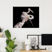 Space Shuttle Challenger Disaster Poster (Thuiskantoor)