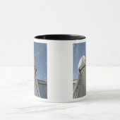 Space Shuttle Discovery 13 Mok (Midden)