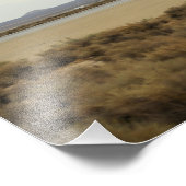 Space Shuttle Discovery implementeert de bijbehore Foto Afdruk (Hoek)