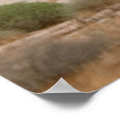 Space Shuttle Discovery Poster (Hoek)