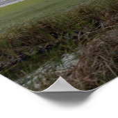 Space Shuttle Discovery (STS-119) Poster (Hoek)