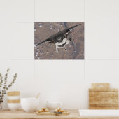 Space Shuttle Discovery (STS-121) Poster (Keuken)