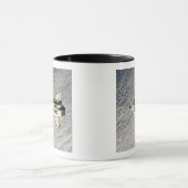 Space Shuttle Endeavor 13 Mok (Midden)