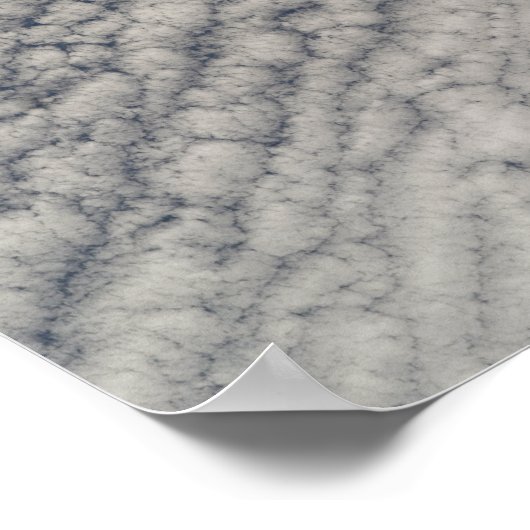 Space Shuttle Endeavor 14 Poster (Hoek)